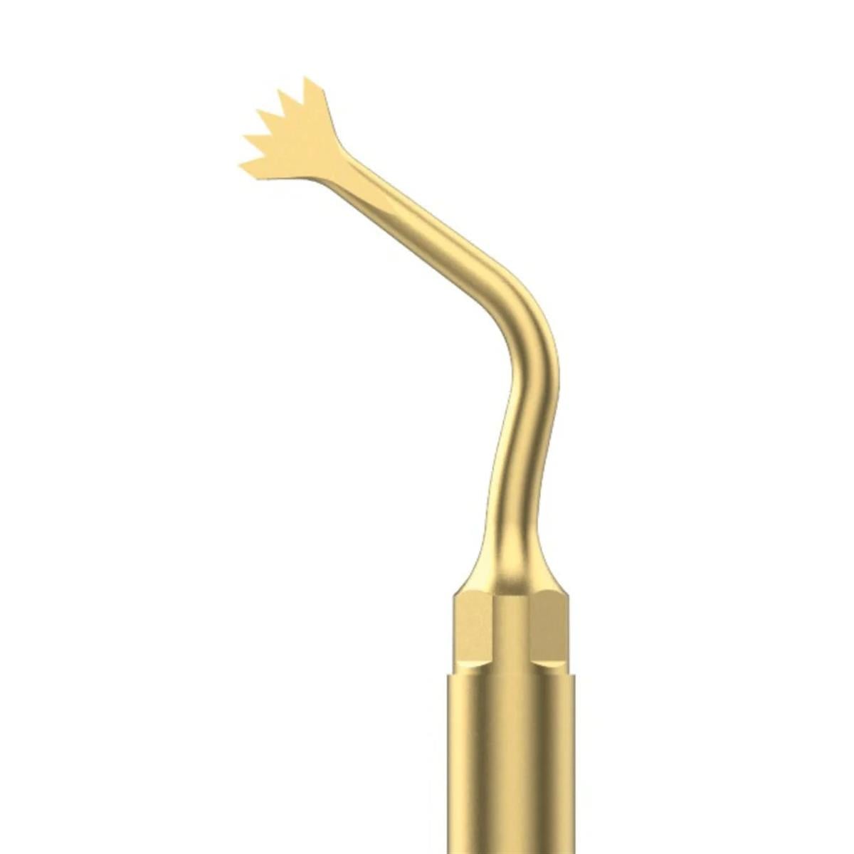 ASİDENTXPEDENTUS1XPEDENT PİEZO SURGERY UCU MECTRON İÇİN US1
