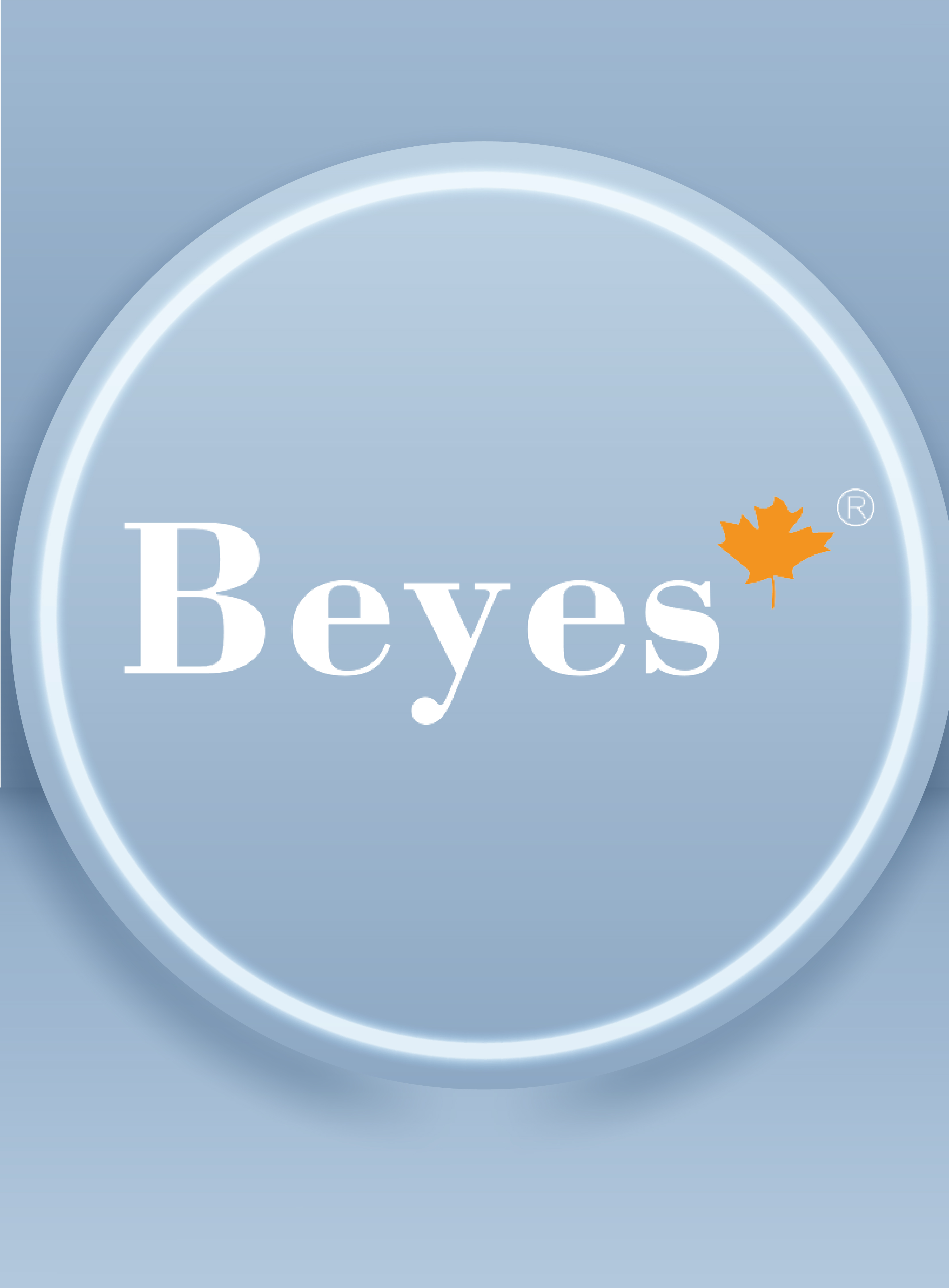 BEYES Katalog