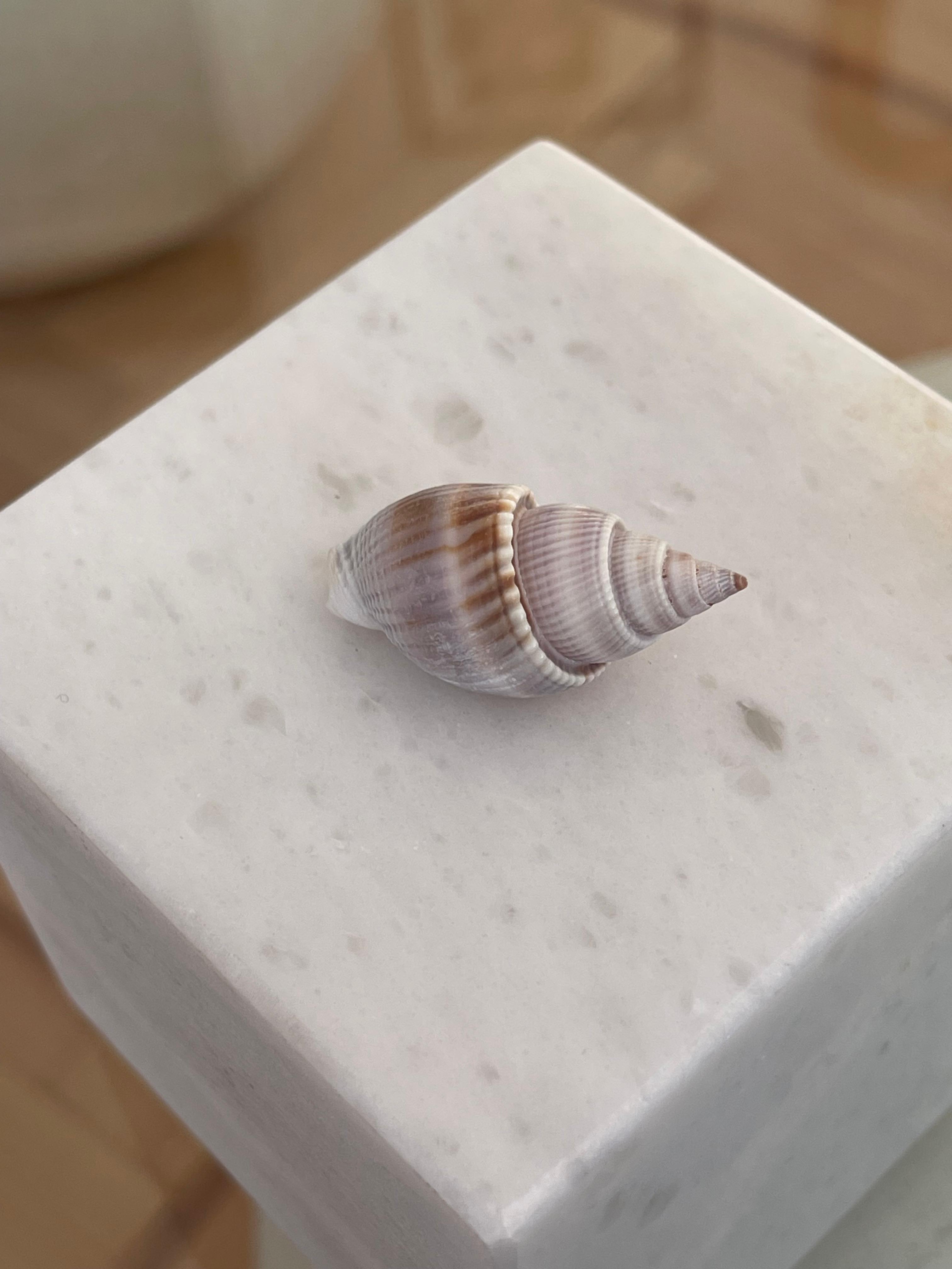 BEYAZ DENİZ KABUĞU KOLYE UCU