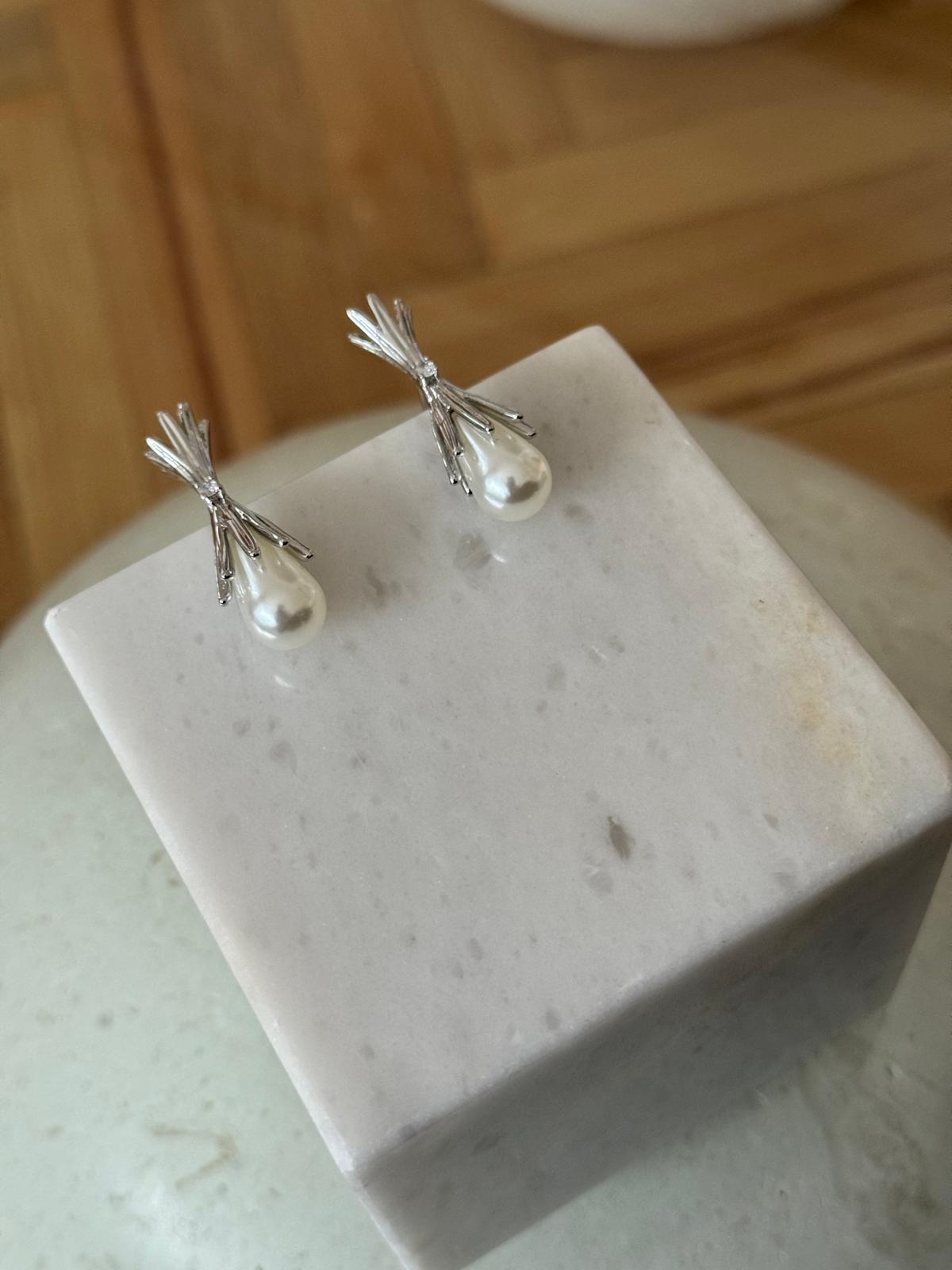 PARİS KÜPE SİLVER