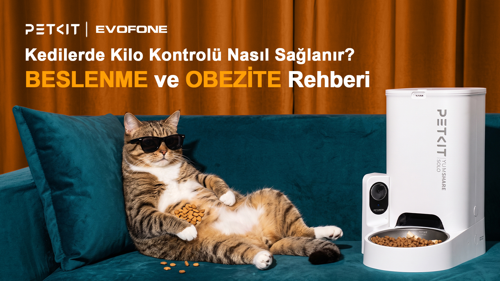 Kedilerde kilo kontrolü