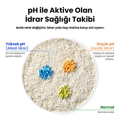 Petkit İdrar Takipli Kedi Kumu