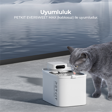 Petkit Eversweet Max Su Filtresi