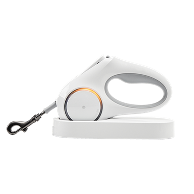 Petkit Ledli Köpek Tasması 3M (Outlet)