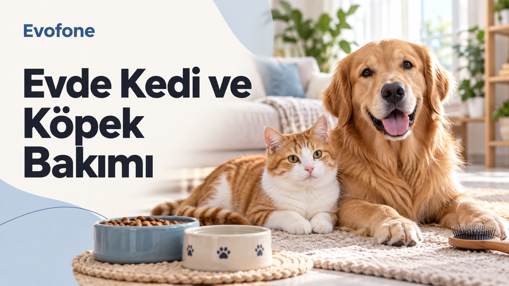 Evde Kedi ve Köpek Bakımı Nasıl Yapılır