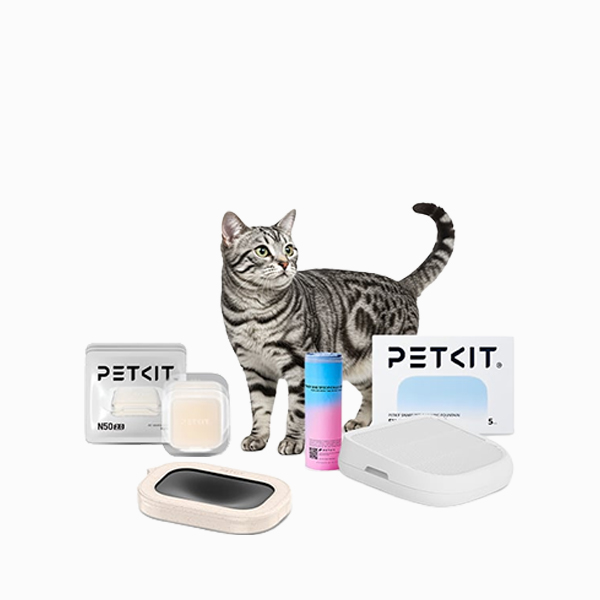 Kedi Tuvaleti Aksesuarları