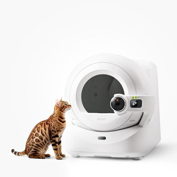 Otomatik Kedi Tuvaleti