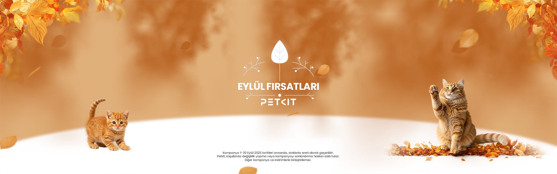 Petkit Kampanyasıyla Eylül Daha Güzel!