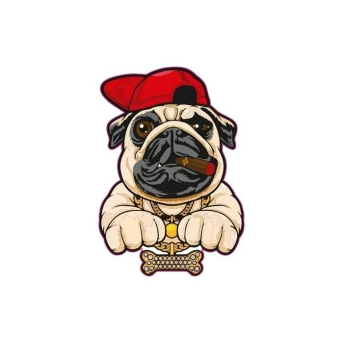 GogoGogo 75X100mm Rap KöpekSF005784