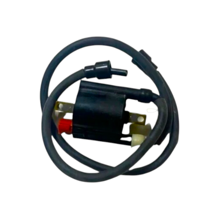 MotobirMotobir Ateşleme Bobini Çift Çıkış Orjinal Bajaj Pulsar Ns 200SF006101