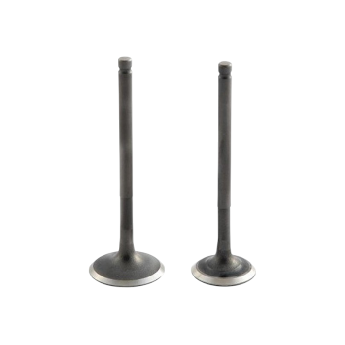MotobirMotobir Emme Egzoz Sübap Takımı Orjinal N8011710 - N8011700 Tvs Ntorq 125 Raider 125SF006959