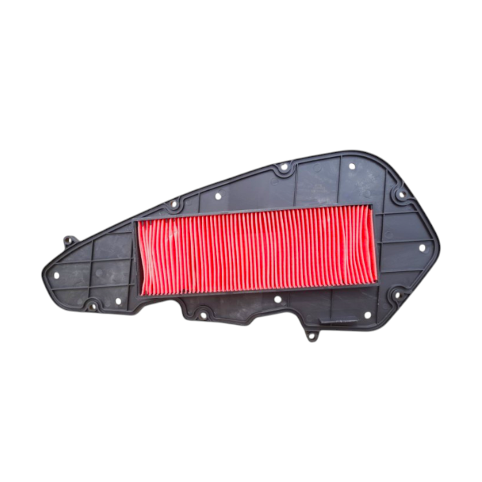 MotobirMotobir Hava Filtresi Daelim S3 Advance 250SF008241