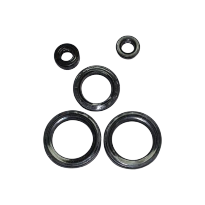 MotobirMotobir Keçe Seti Rks 150SF008337