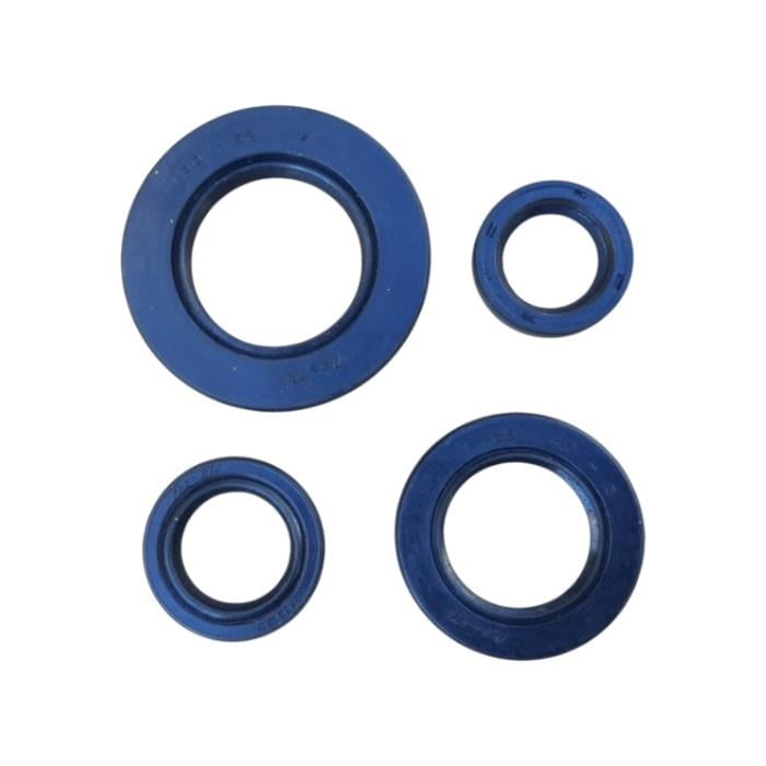 MotobirMotobir Keçe Seti Tvs Jupiter 125 2023-2024SF005631