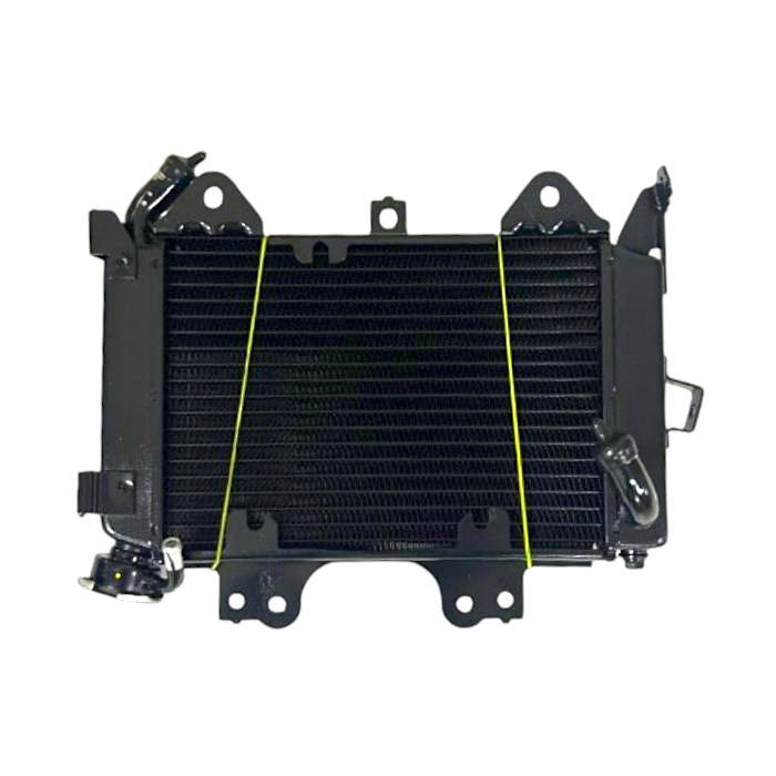 MotobirMotobir Radyatör Bajaj Pulsar Ns 200SF006564