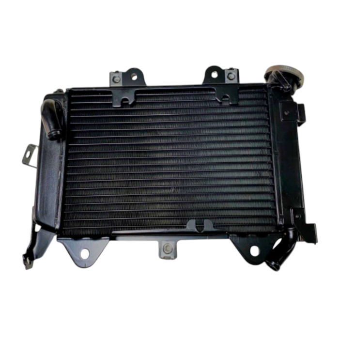 MotobirMotobir Radyatör Komple Bajaj Pulsar Ns 200SF006669