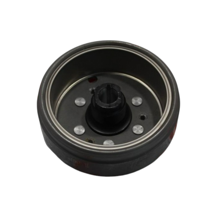 MotobirMotobir Rotor Manyeto Kapağı Rks Titanic 150SF008097