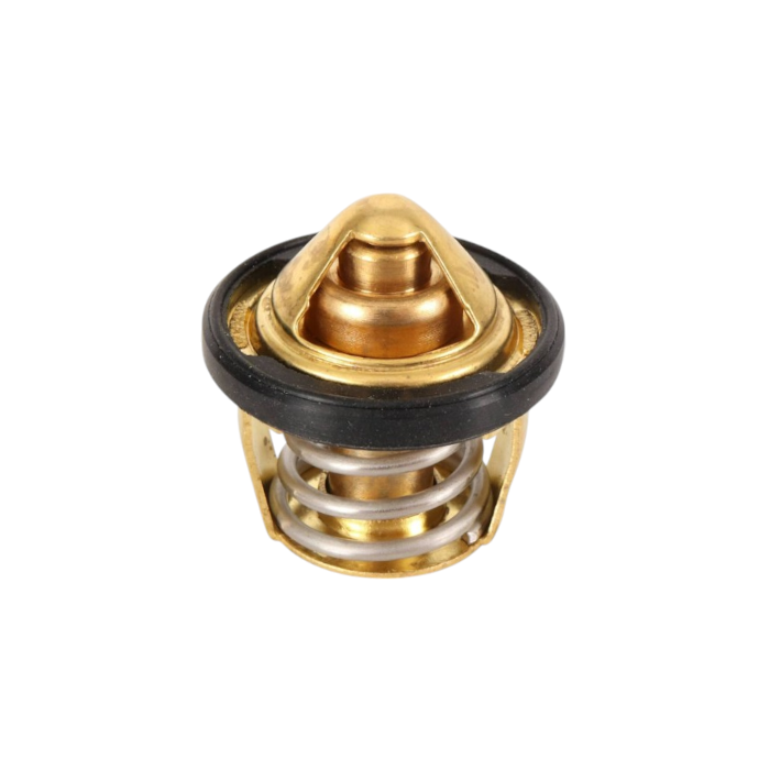 MotobirMotobir Termostat Sensörü Cf Moto Nk 250 Sr 250SF006698