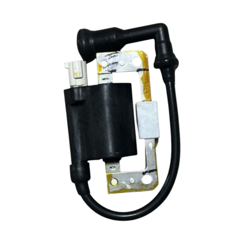 MotobirMotobir Ateşleme Bobini Orjinal N6060260 Tvs Raider 125SF009844