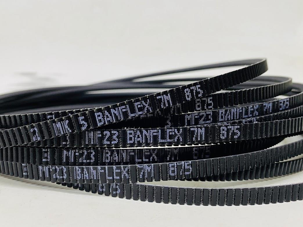 7M 0875 Banflex Tekli Poly V Kayış
