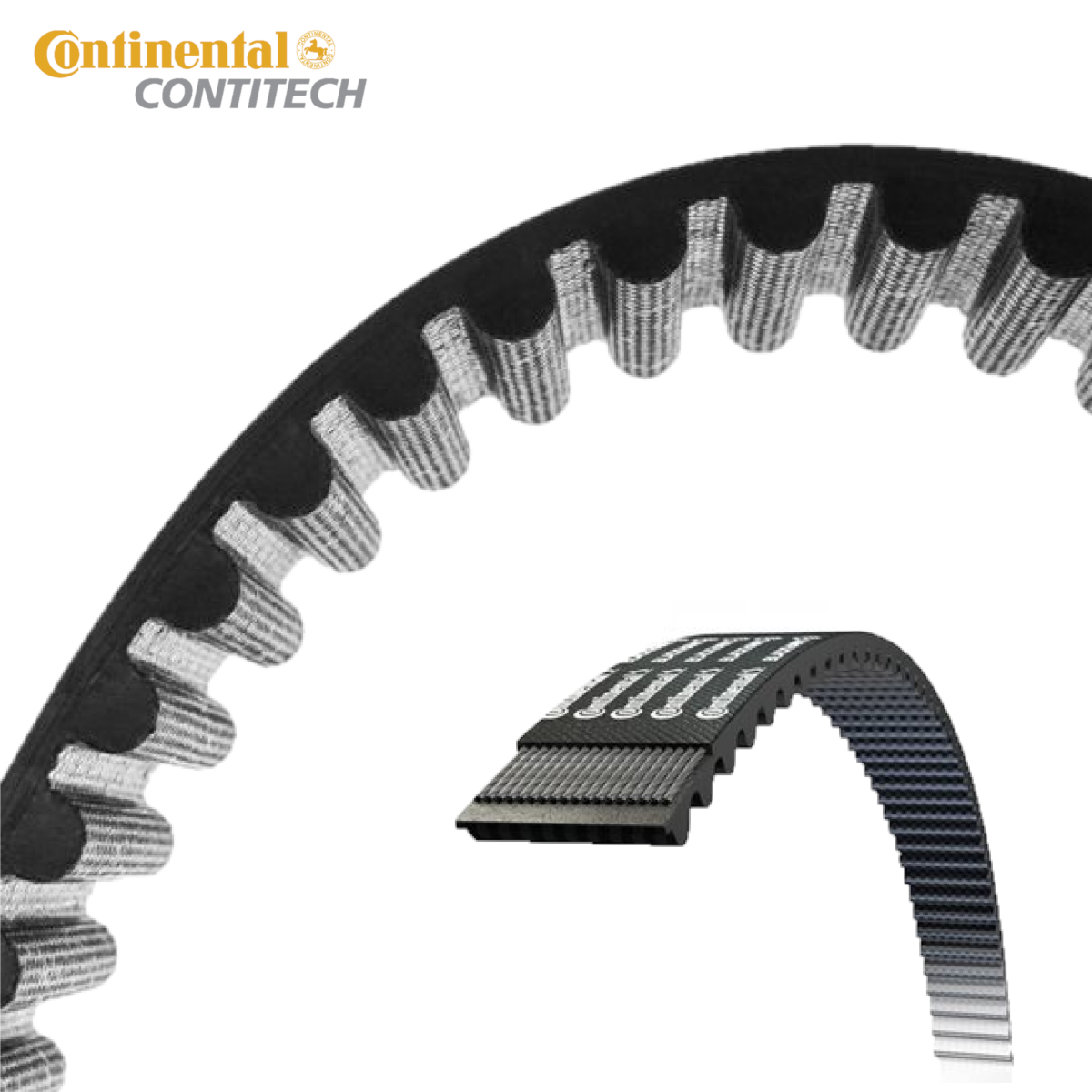 HTD5M 12MM Contitech Açık Uçlu Kauçuk Zaman Kayış