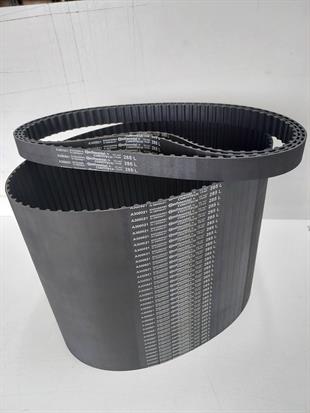 L 285 Contitech 19MM Kauçuk Zaman Kayış