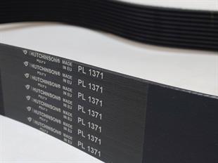 PL 1371 Hutchinson 10 Tepe Kanallı Poly V Kayış