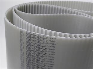 T10 2250 Synchroflex Poliüretan Zaman Kayış