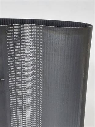 XL 250 Contitech Kauçuk Zaman Kayış