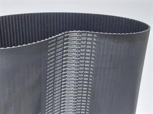 XL 250 Contitech Kauçuk Zaman Kayış