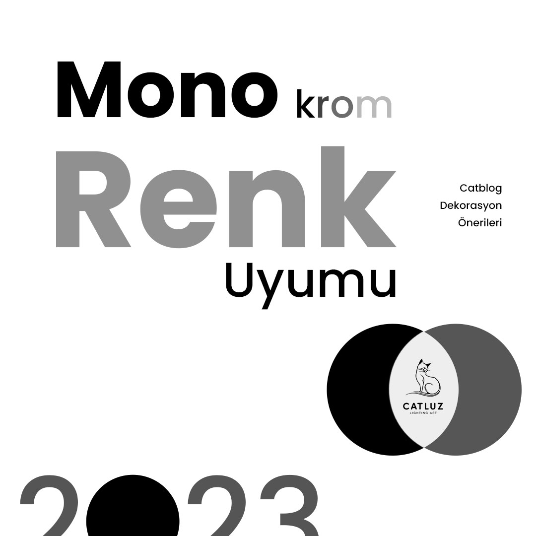 Monokrom renklerle minimalist bir yaşam alanı