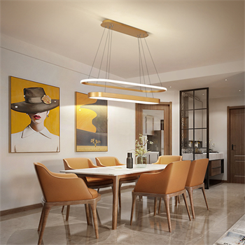 OVAL İÇİ OVAL LED LAMBA,SARKIT AVİZE,MODERN AYDINLATMA,DEKORATİF IŞIK