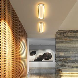OVAL(120cm) LED TAVAN LAMBASI,OVAL AVİZE,MODERN AYDINLATMA,DEKORATİF IŞIK