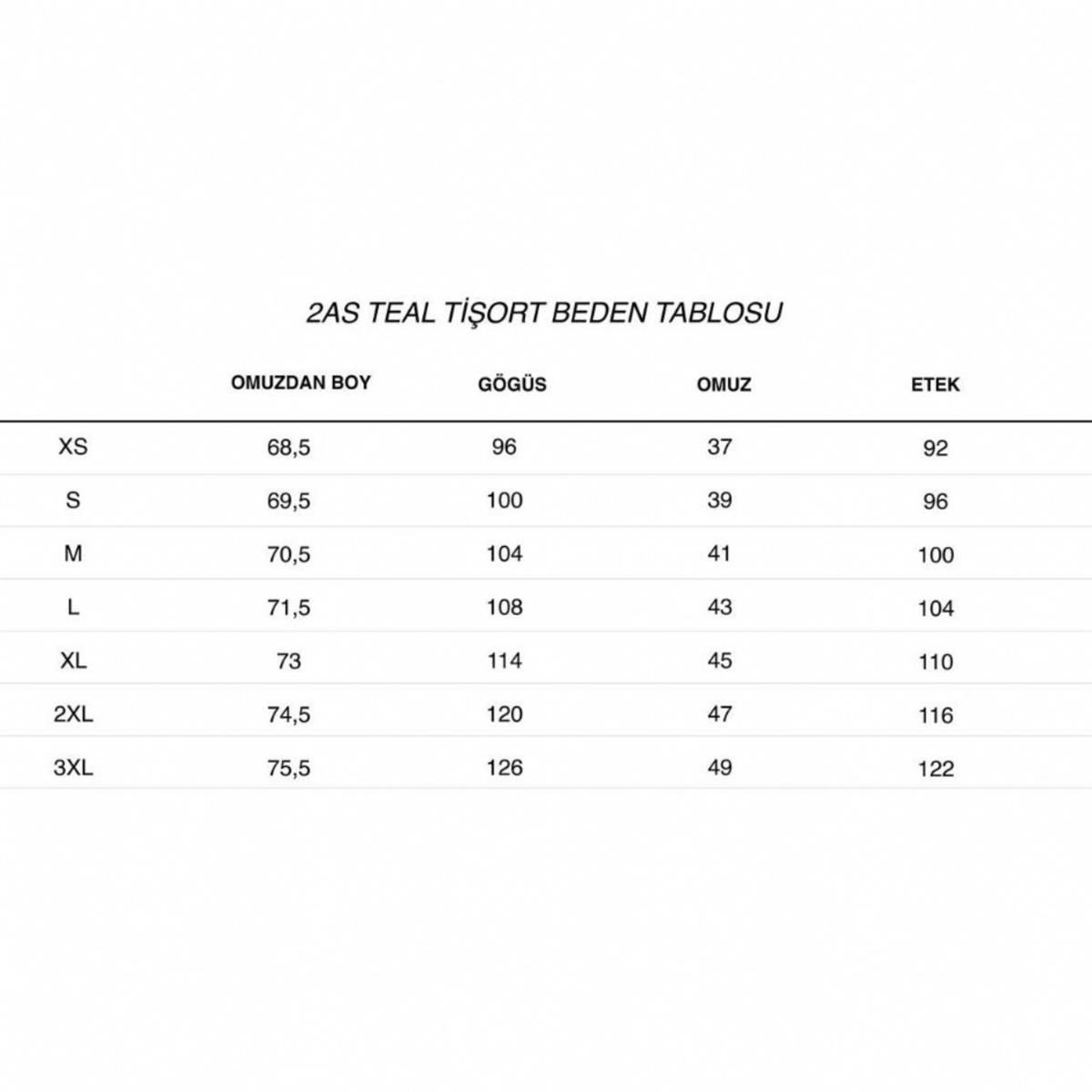 2AS Teal Erkek Beyaz Polo Yaka Tshirt
