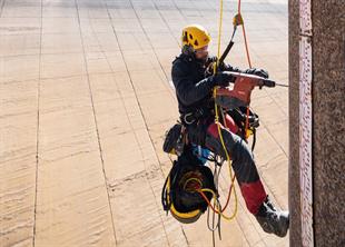 PETZL ASAPSORBER AXESS Şok Emici
