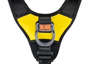 PETZL AVAO BOD FAST Emniyet Kemeri - Uluslararası Versiyon
