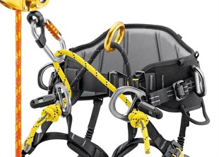 PETZL SEQUOIA® Ağaç Budama Emniyet Kemeri