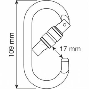 Camp Oval Pro Vidalı Çelik Karabina