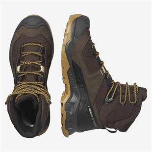 Salomon Quest Element Gtx Erkek Bot Kahverengi