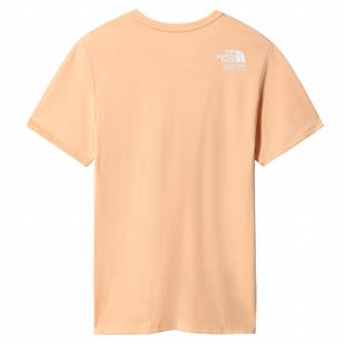 The North Face Foundation Graphic Pudra Kadın T-Shirt