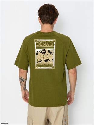 The North Face S/S North Faces Erkek T-Shirt Yeşil