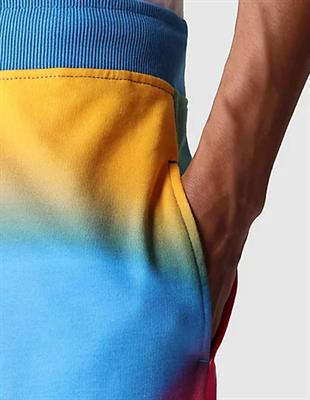 The North Face Standard Multicolor Şort