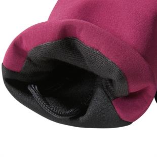 The North Face W Apex Etip Bordo Kadın Eldiven