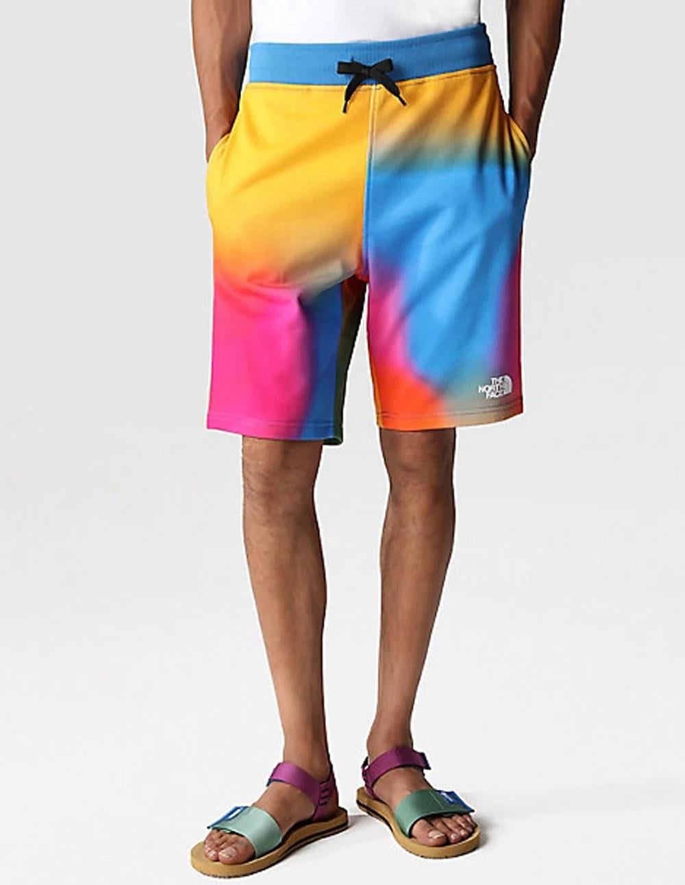 The North Face Standard Multicolor Şort