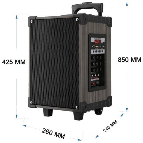 D-Sound DS 908 Taşınabilir Amfi
