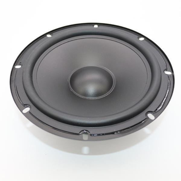 Gold Audio HP 3006 20 cm Çıplak Hoparlör