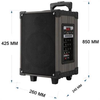 D-Sound DS 908 Taşınabilir Amfi