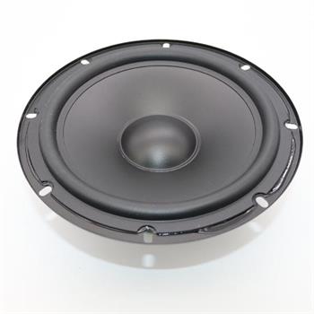 Gold Audio HP 3006 20 cm Çıplak Hoparlör