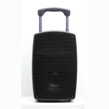 Gold Audio PA 2312 EE Taşınabilir Amfi