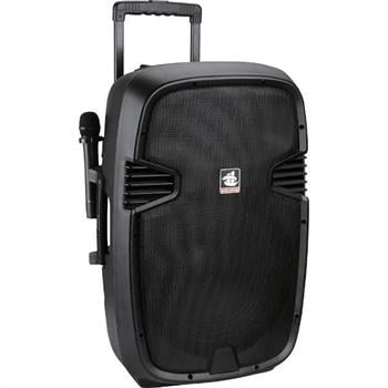 Gold Audio PA 8810 E Taşınabilir Amfi